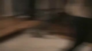 College party turns into wild cock sucking fuck orgy