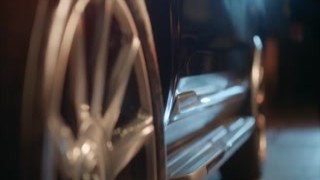 Vixen Violet was a superstar, known for her wild antics on stage and off