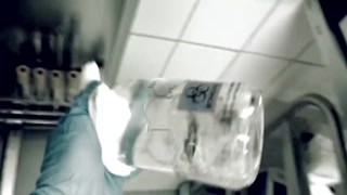 HORROR PORN – Roswell UFO