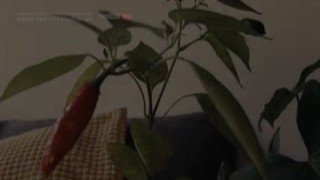 Amateur couple gets down and dirty in broad daylight, fucking hard under the warm rays of the setting sun