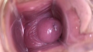 In The Crack 440 - In The Cunt Hole Womb - Nesty