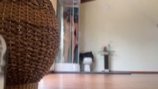 Anna Cherry7 - My Stepbrother Catches Me Fucking My Friend in the Shower! - Milalzt