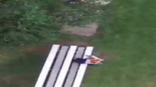 legends have a beginning, and so does Gibby