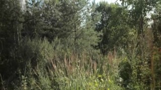 FionaMommy - Mommys Summer Secret