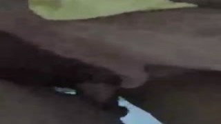 I found her on the internet