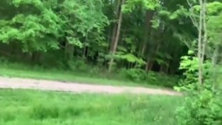 The hot lesbian walked over to the picnic table, her massive tits bouncing with each step